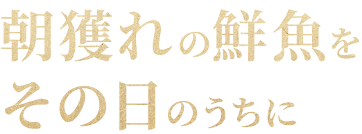 朝獲れの鮮魚を
