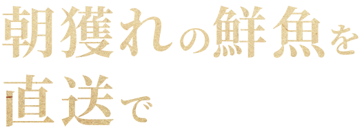 直送で
