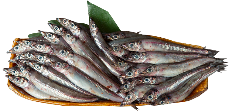 メギス