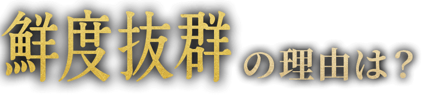 鮮度抜群の理由は？