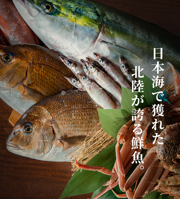 日本海で獲れた北陸が誇る鮮魚