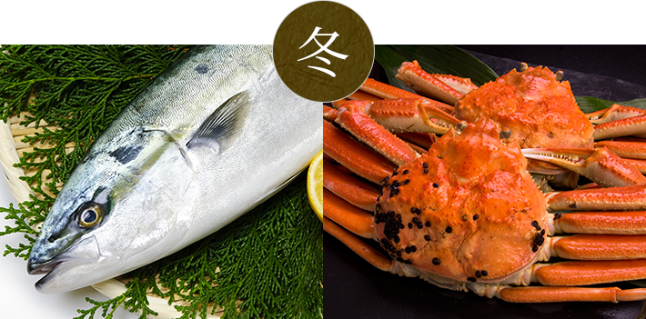 金沢市で普段のお食事や一人飲み 出張 観光で新鮮な魚料理を愉しむなら